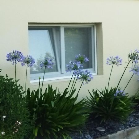 Les Hortensias Fortschwihr Exteriör bild