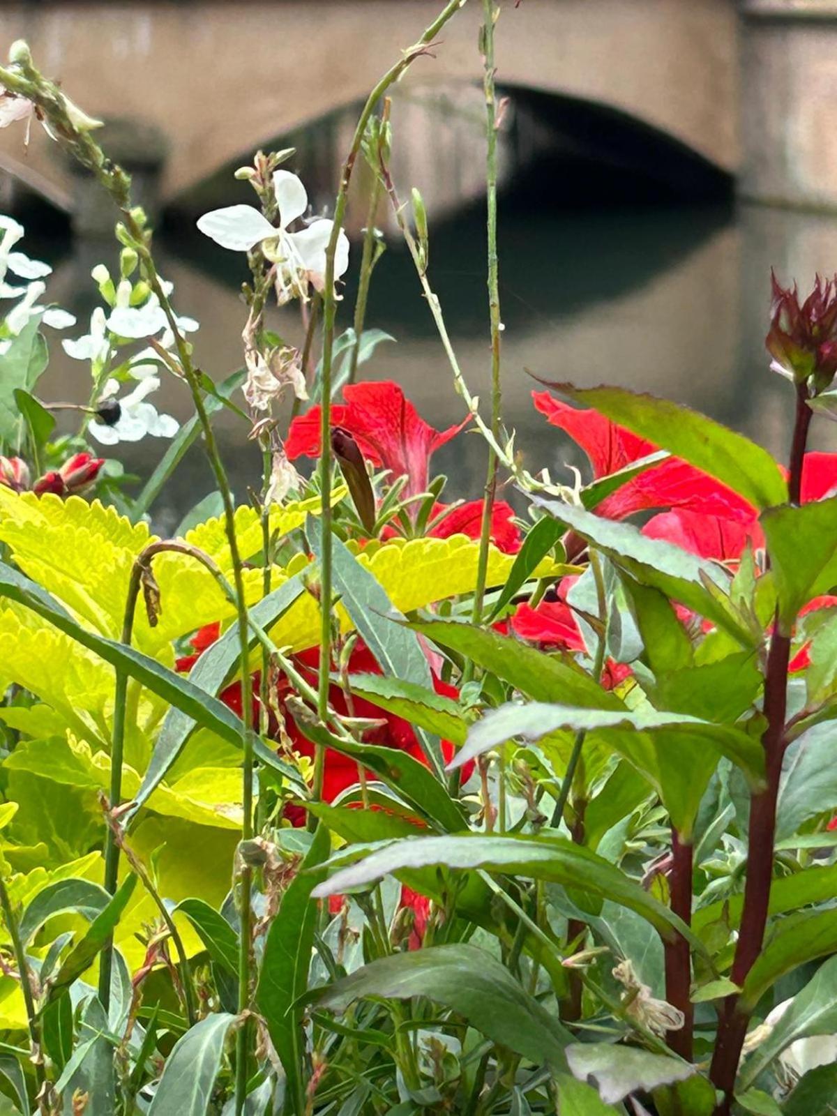 Les Hortensias Fortschwihr Exteriör bild