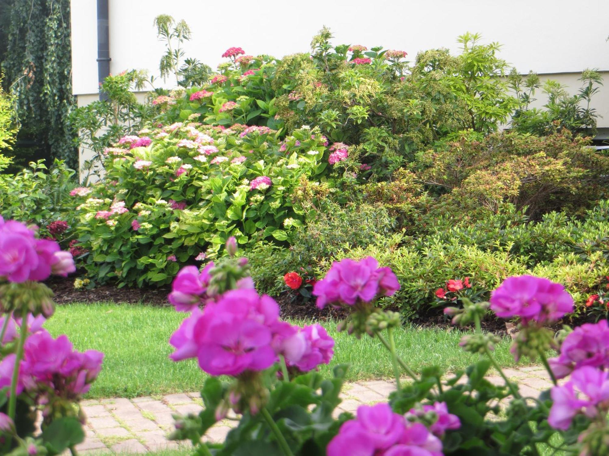 Les Hortensias Fortschwihr Exteriör bild