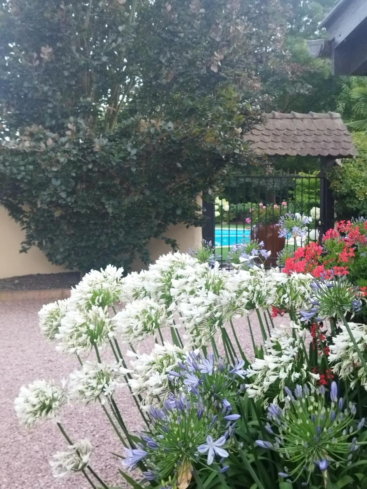 Les Hortensias Fortschwihr Exteriör bild