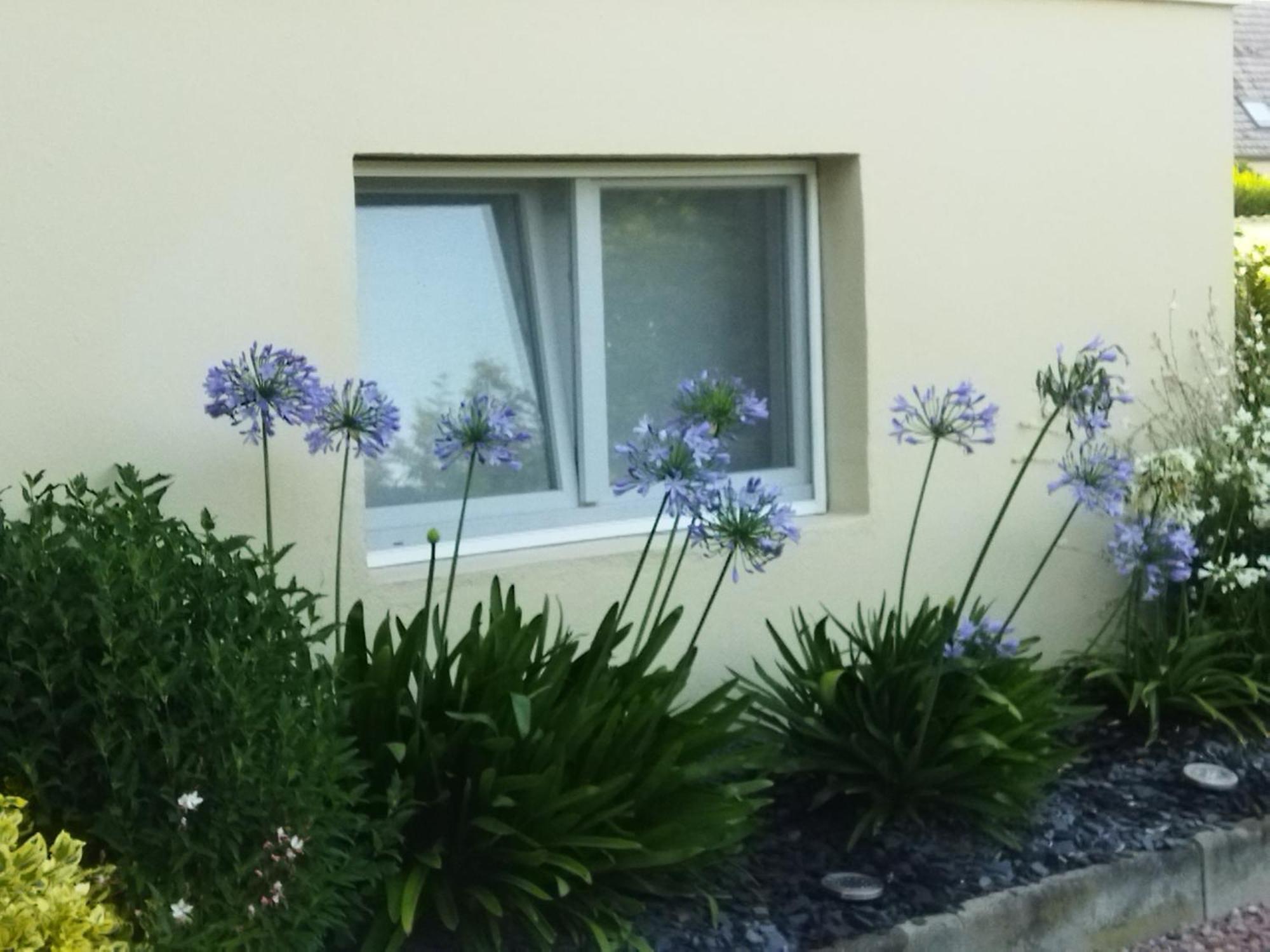 Les Hortensias Fortschwihr Exteriör bild