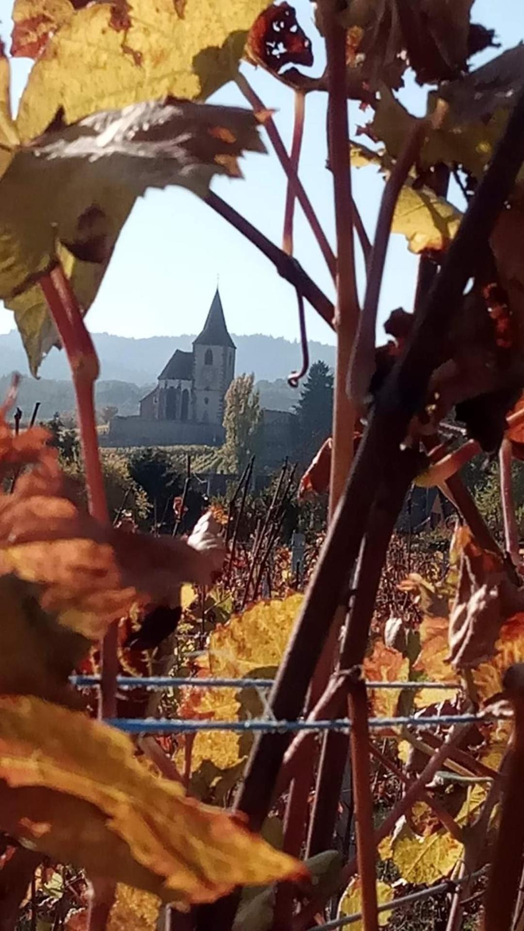 Les Hortensias Fortschwihr Exteriör bild